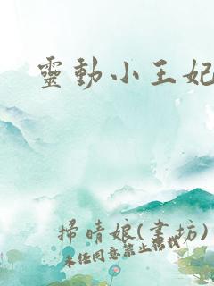 灵动小王妃