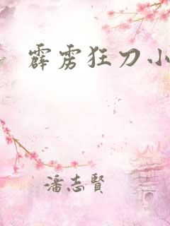 霹雳狂刀小说