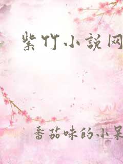 紫竹小说网