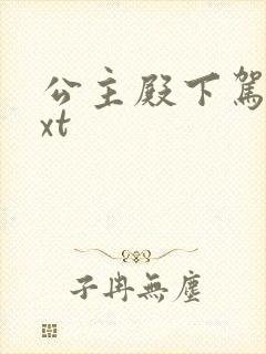 公主殿下驾到txt