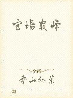 官场巅峰