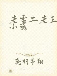 老电工老王和李小燕