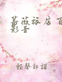 蔷薇旅店 百度影音