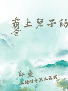 霸上儿子的总裁爸