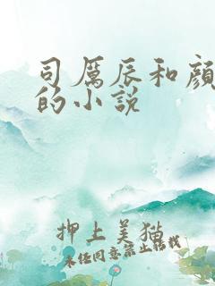 司厉辰和颜辞兮的小说