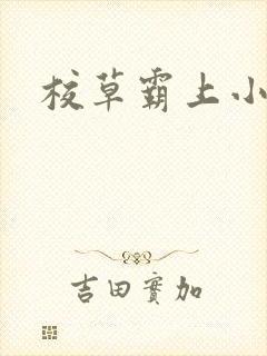 校草霸上小丫头