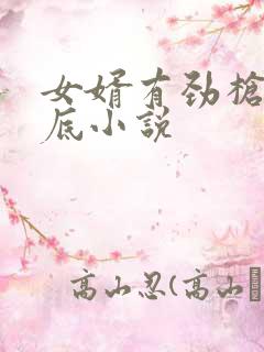 女婿有劲枪枪到底小说