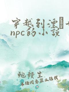穿越到湮婸世界npc的小说