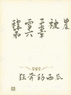 程雪柔被农民工第六章