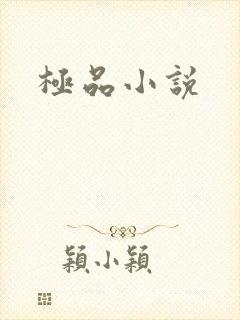 极品小说
