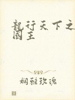 龙行天下之真假国主