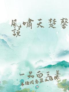 风啸天楚馨月小说