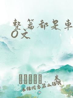 整篇都是车的PO文