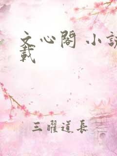 文心阁 小说连载