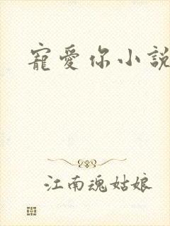 宠爱你小说