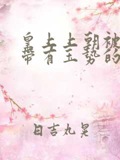 皇上上朝被迫坐带有玉势的龙椅