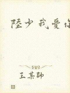 陆少 我爱你