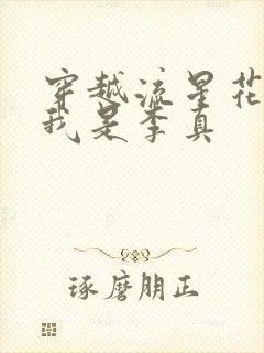 穿越流星花园之我是李真