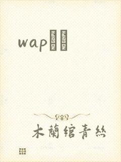 wapС˵
