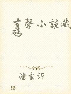 有声小说藏地密码