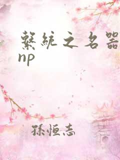 系统之名器攻略np