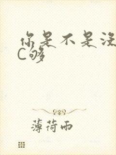 你是不是没有被C够