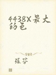 4438X最大的色