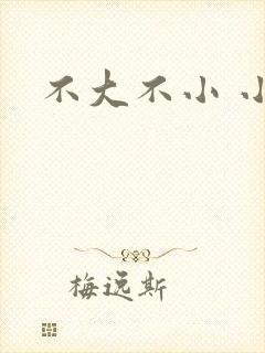 不大不小 小说