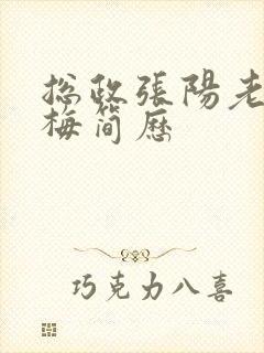 总政张阳老婆吕梅简历