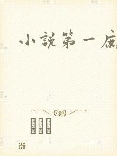 小说第一庶女