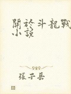 关于斗龙战士的小说