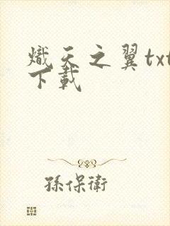 炽天之翼txt下载