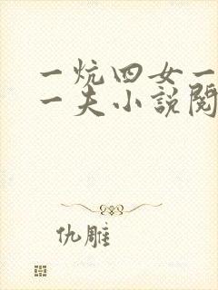 一炕四女一共侍一夫小说阅读