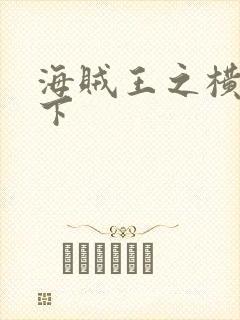 海贼王之横行天下