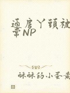 通房丫头被肉日常NP