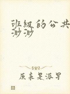 班级的公共玩具渺渺