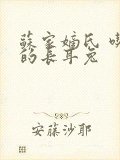 苏家嫡氏 吃肉的长耳兔