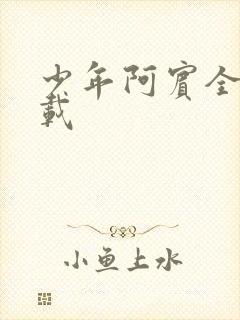 少年阿宾全集下载