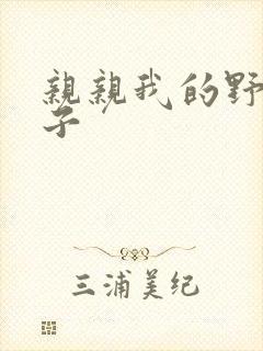 亲亲我的野猪王子