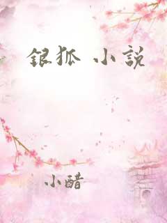 银狐 小说
