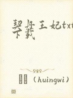 契丹王妃txt下载