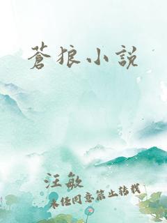 苍狼小说