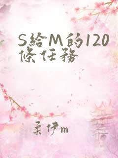 S给M的120条任务