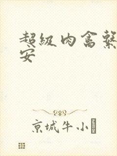 超级肉禽系统保安