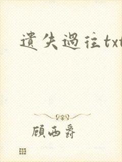 遗失过往txt