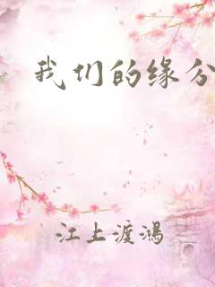 我们的缘分小说