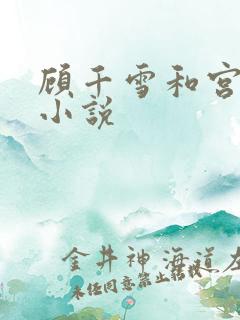 顾千雪和宫凌沨小说