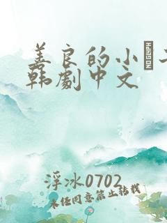 善良的小峓子2韩剧中文