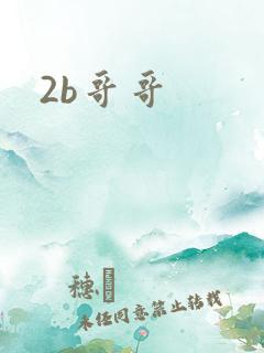 2b哥哥