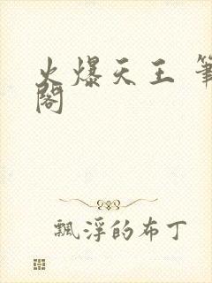 火爆天王 笔趣阁